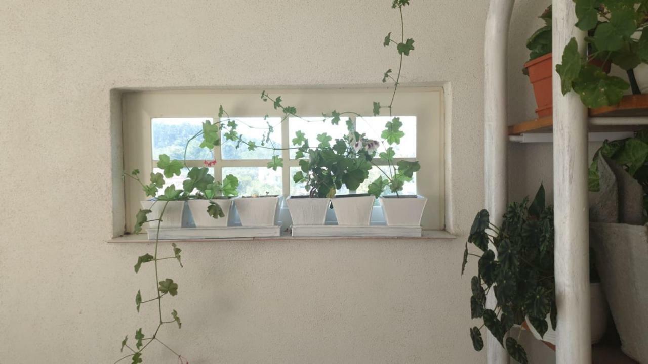 La Curtea Argeseana Apartment Valea Iasului Exterior photo